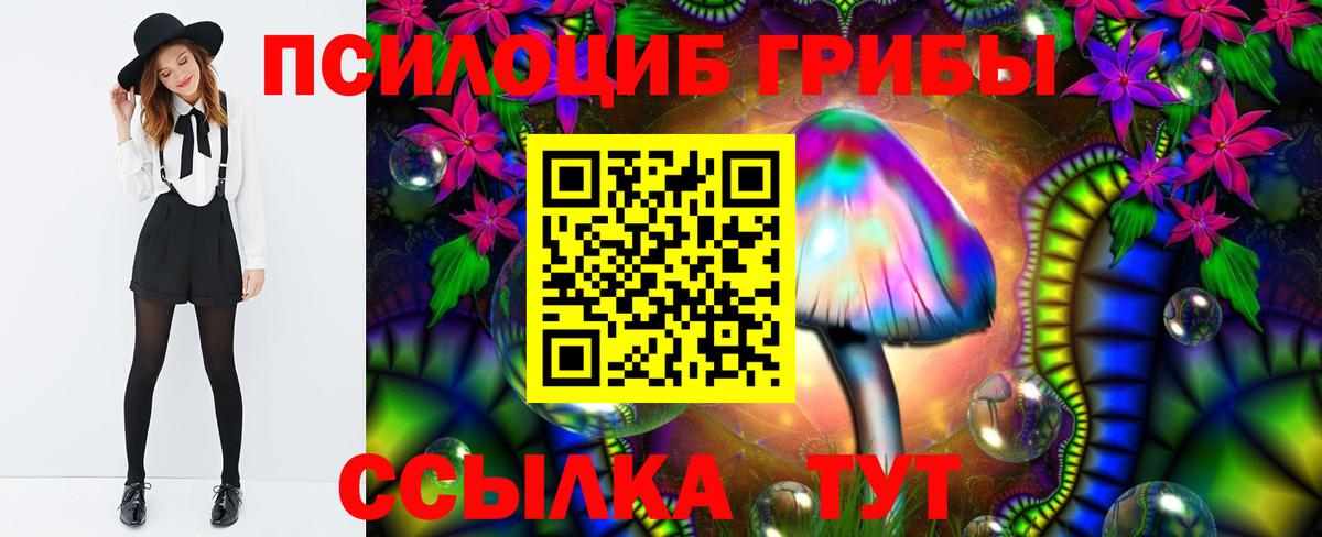 Тобольск  Галлюциногенные грибы мухоморы  Вход с VPN 